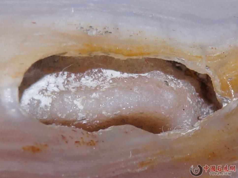 7. �滯�񱻷Ŵ�