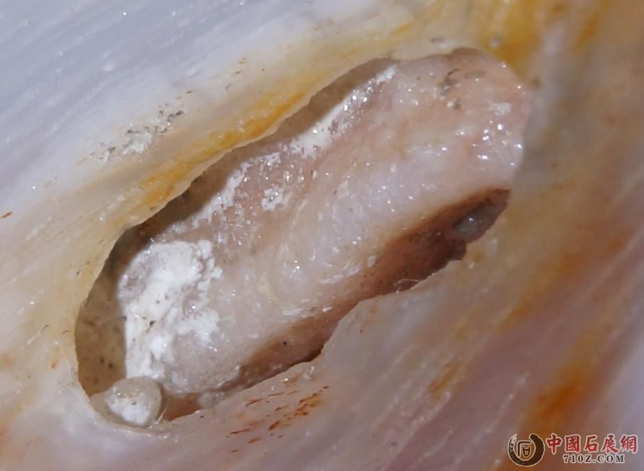 8. �滯�񱻷Ŵ�