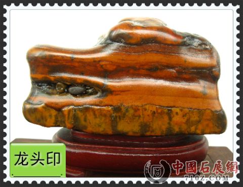 ����Ƭ 05.jpg