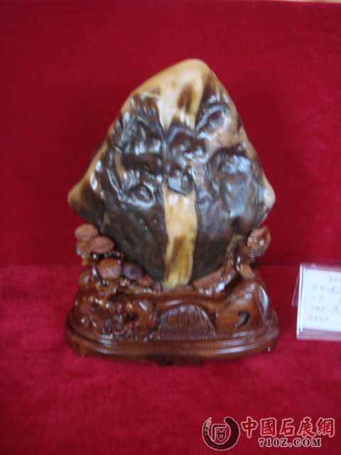 DSC09652.JPG