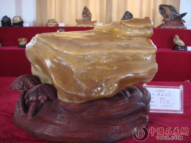 DSC09562.JPG