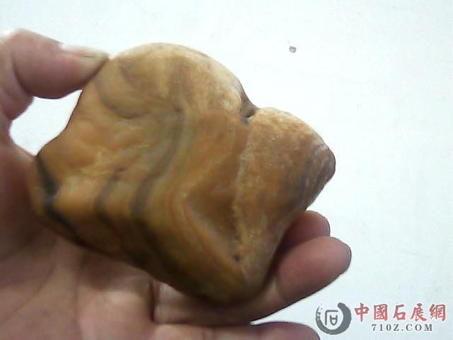 ���� ͼƬ 070.jpg