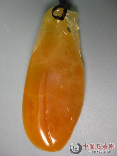 ���� IMG_3484.JPG