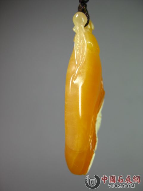 ���� IMG_3455.JPG