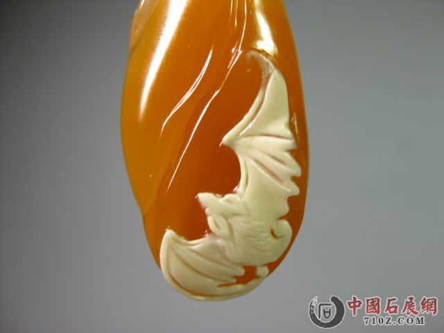 ���� IMG_3456.JPG