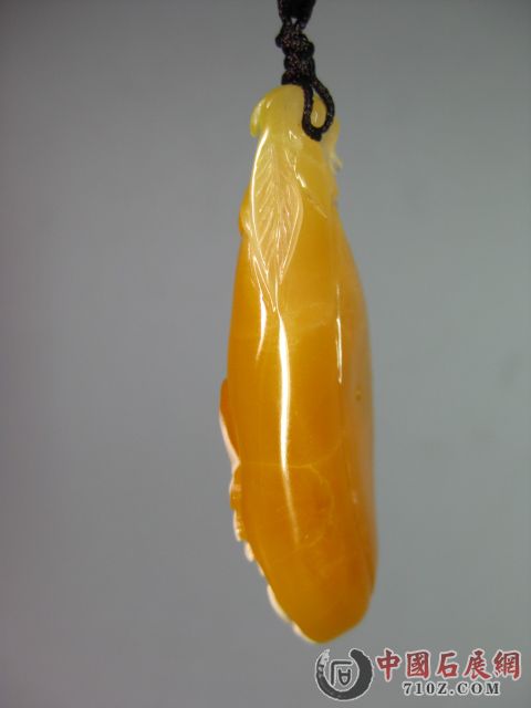 ���� IMG_3459.JPG