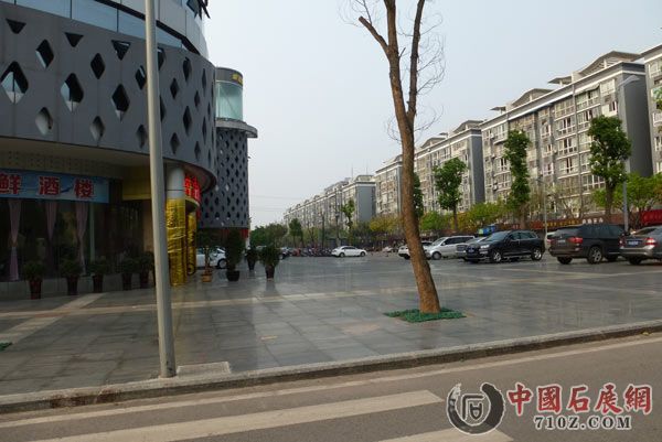 P1000916.jpg