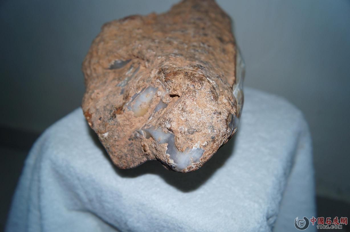 5. ������ - ����