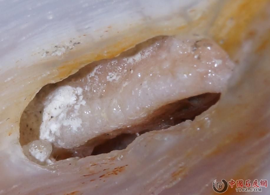 8. �滯�񱻷Ŵ�(C)