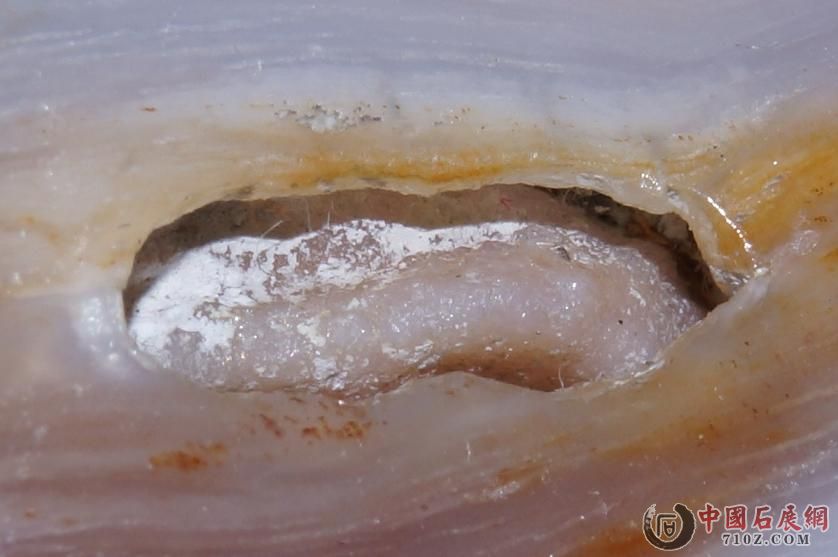 10. �滯�񱻷Ŵ�(E)