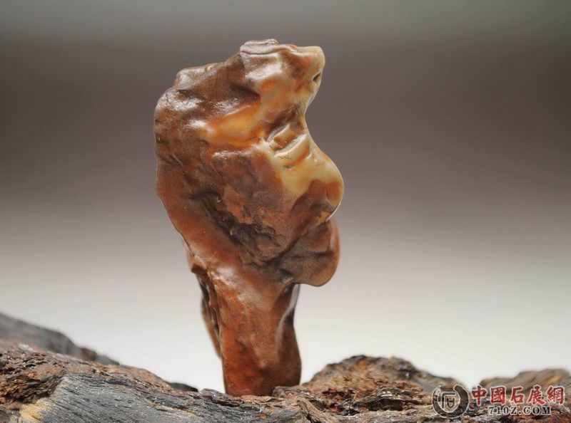 ���桪������