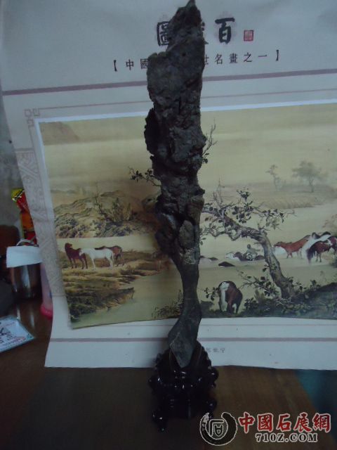 DSC01066.JPG