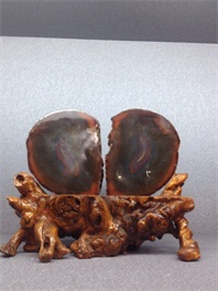 ������ӡ