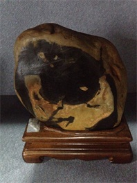 ̫�������£�������Ǭ��