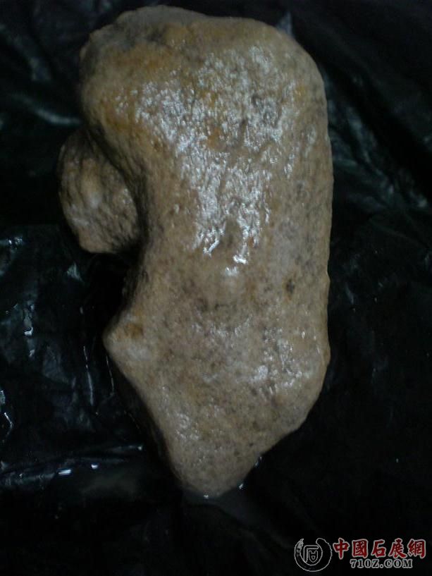 CIMG7104.JPG