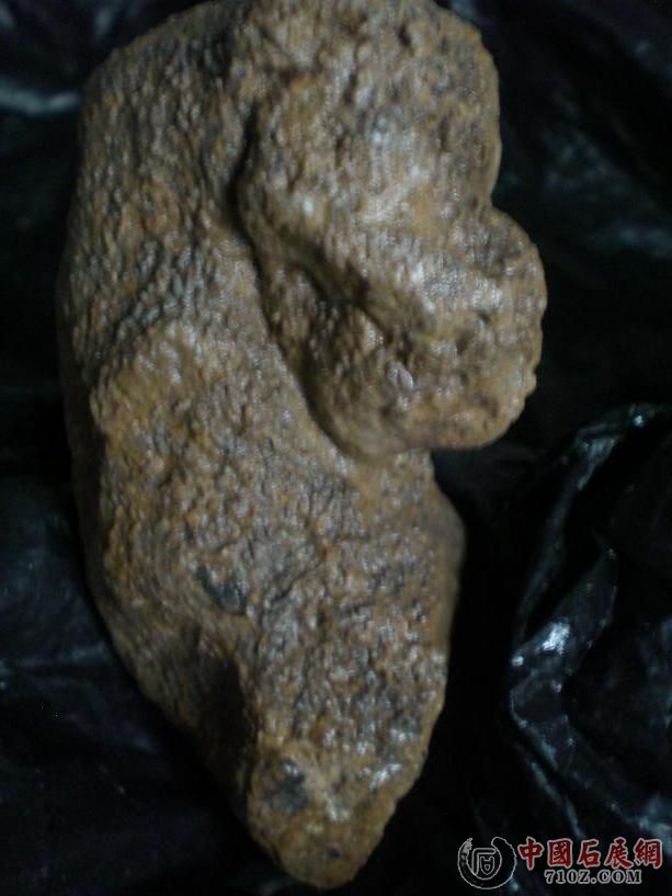 CIMG7107.JPG