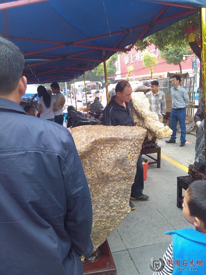 ��չ�ֳ���������