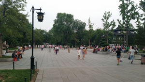 Ԥѡ 8 �������������ھ�����.jpg