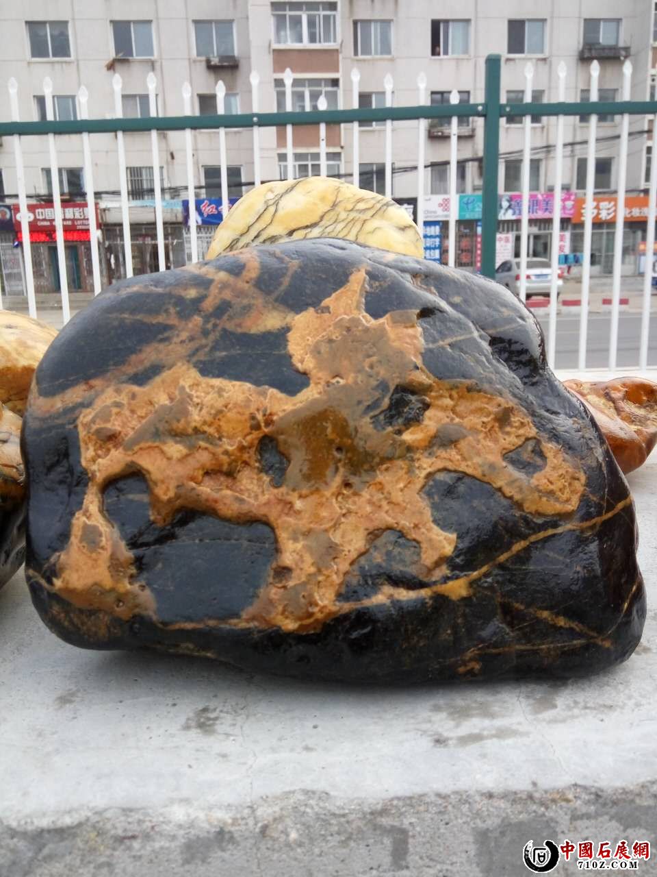 WeChatImage635809461890230515 (2).jpg