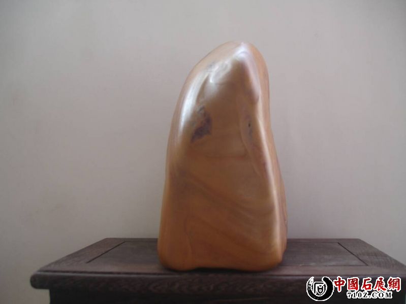 021630ocgn0fo9nfdykmz9.jpg.thumb.jpg