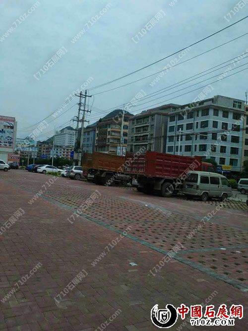 1271080838 ����.jpg