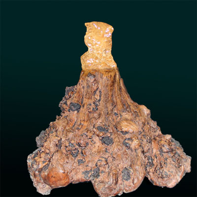 �й��� ������.jpg