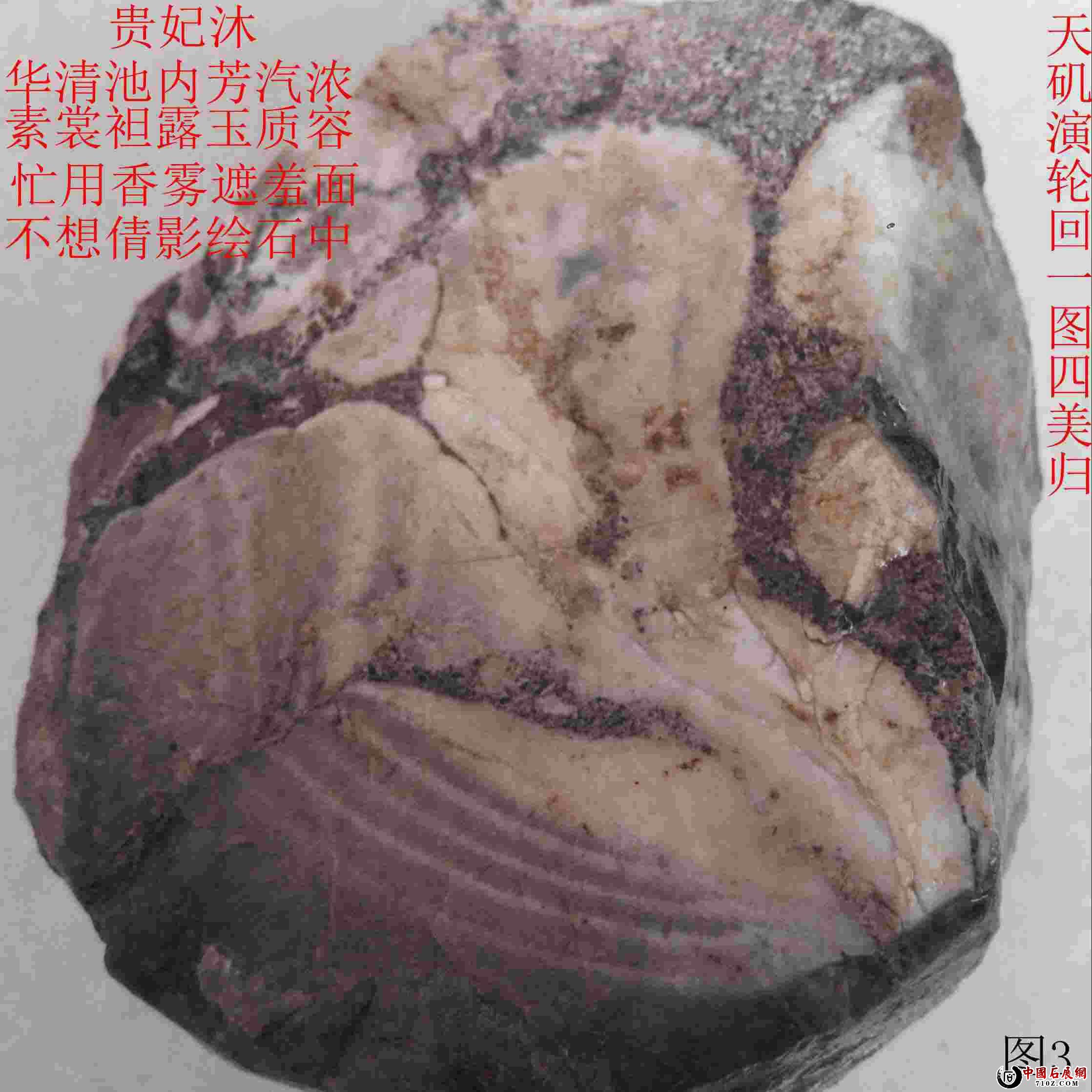 ���õ���ʯ