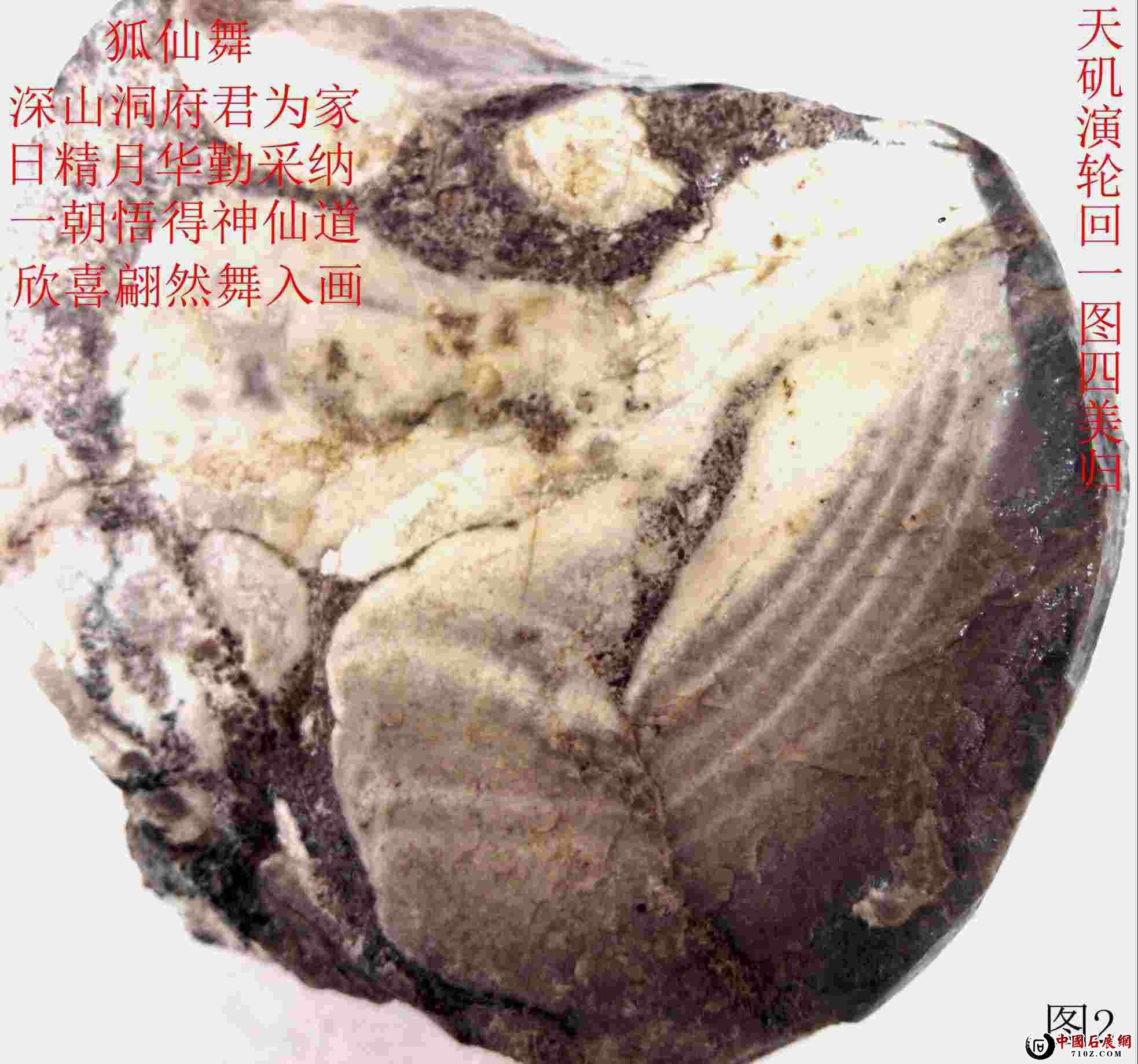 ���õ���ʯ