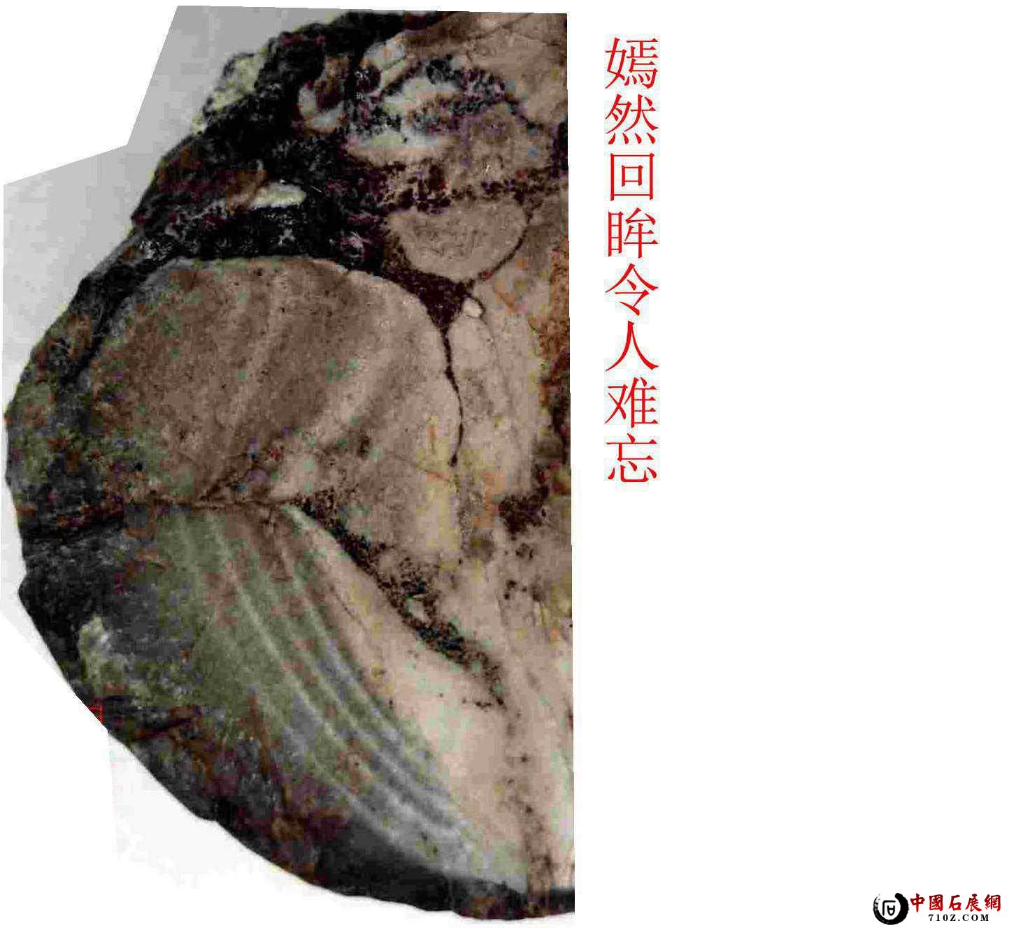 ���õ���ʯ