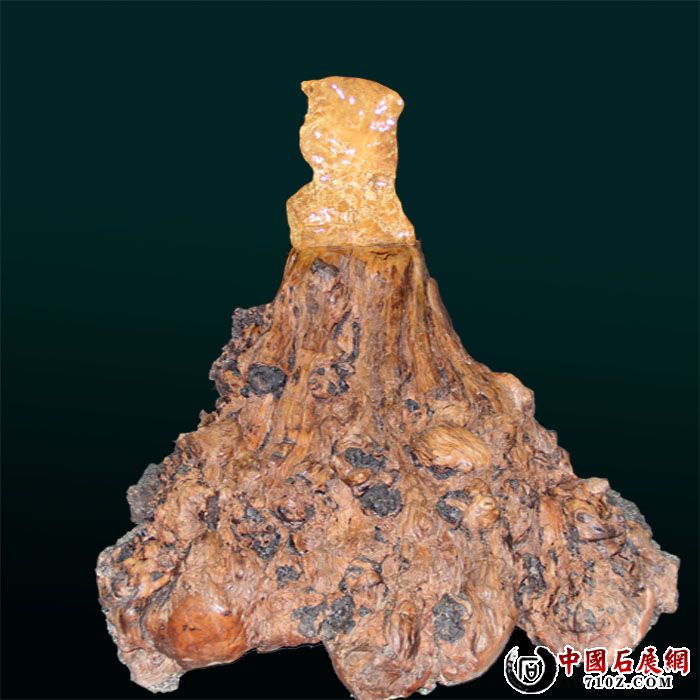 �й��� ������.jpg