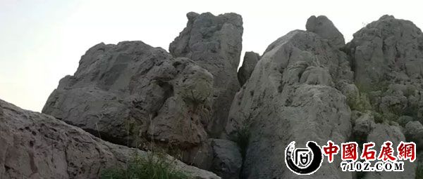 640.webp-(2).jpg