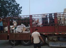 ľ���ѽ�����