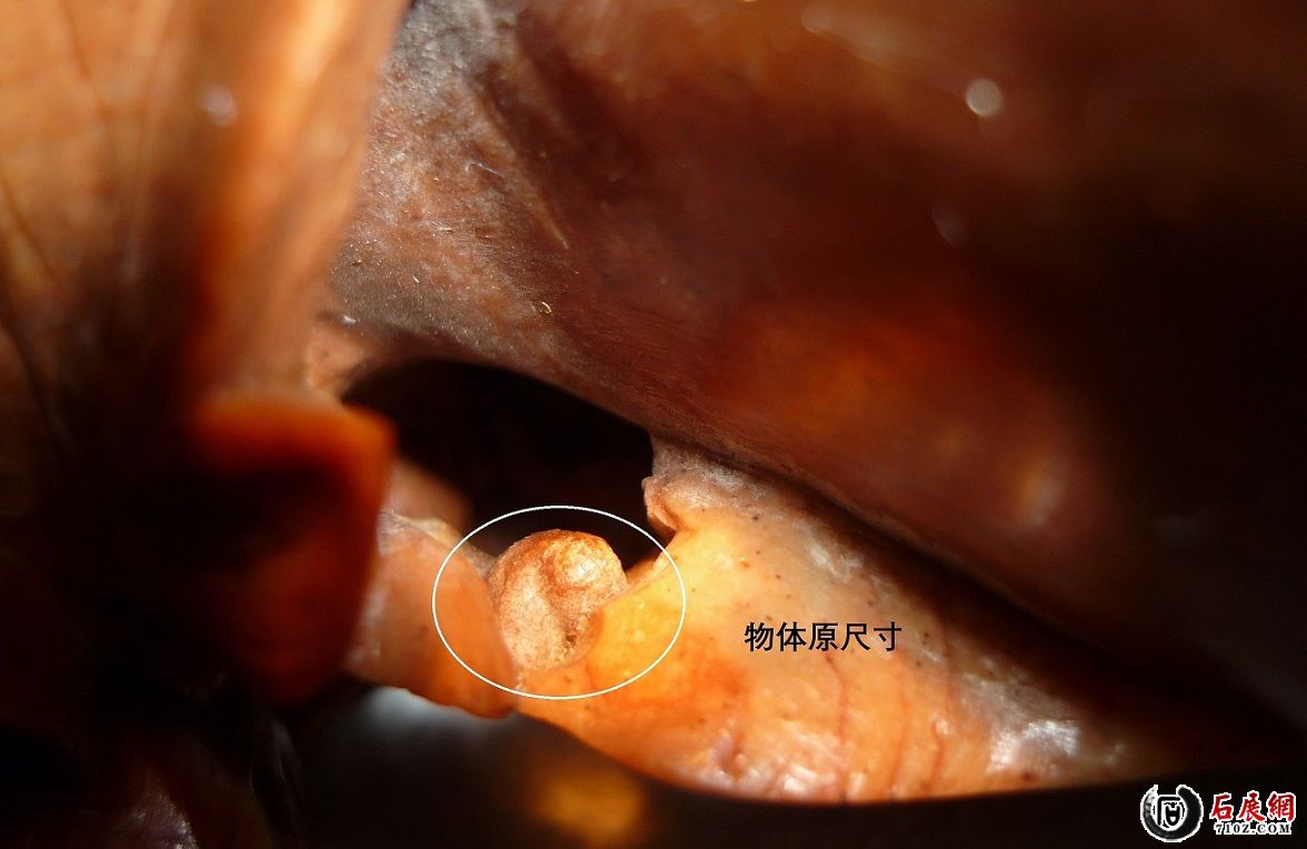 W 01 ΢�� ��Գ