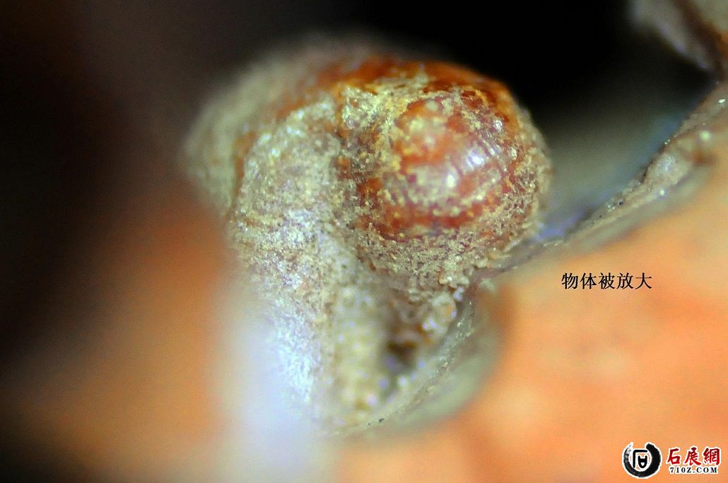 W 02 ΢�� ��Գ