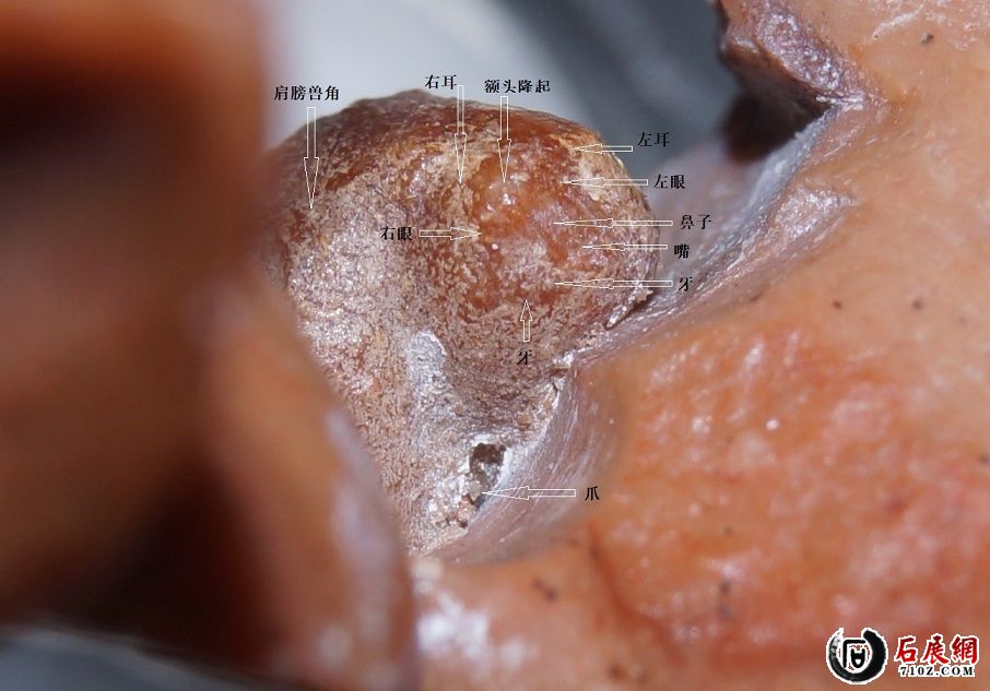 W 04 ΢�� ��Գ