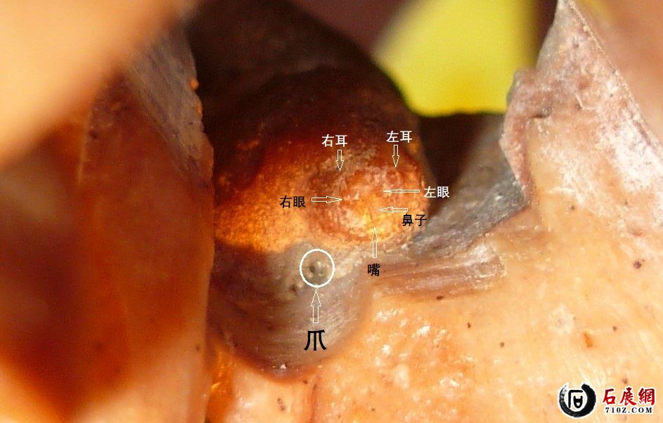 W 05 ΢�� ��Գ