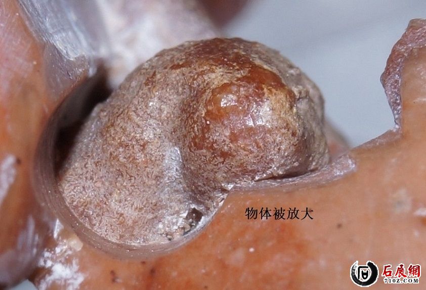 W 08 ΢�� ��Գ