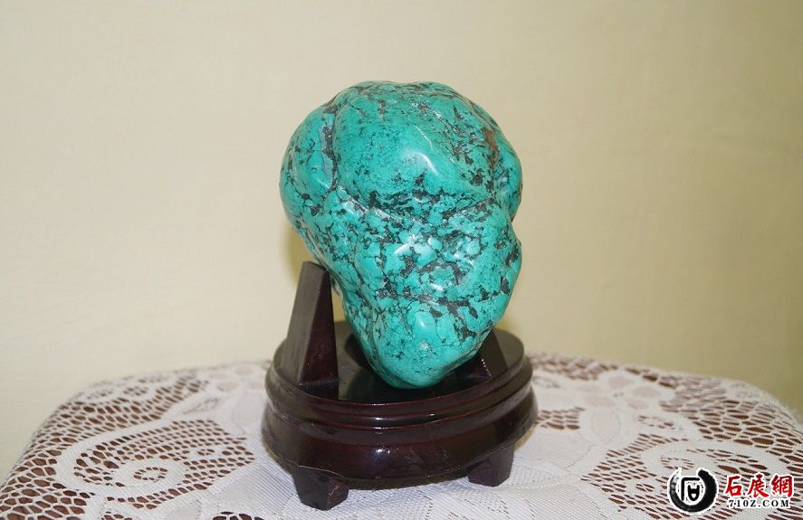 Z06 ë��Ф��