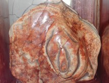 ������Ʒ��ʯ    ���֮��