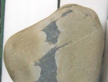 ẽ�����ʯ----׿����