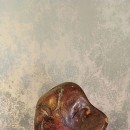 �����ơ�