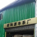 [寻找合作伙伴]源丰茶业正式开工投产，主要生产福建白茶。