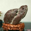 ��Ȼ����ʯ��Ѫ��ʯ���������꡷