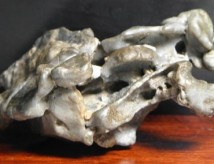 ����ʯ�Ѽ�