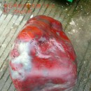 �ʺ����Σ���Ѫ����ۡ�Ů���졷