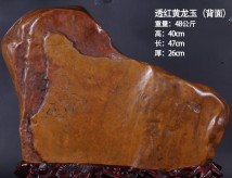 ͸�������