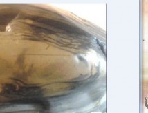 һʯ���⣬���Ǽ�Ʒ�˰ɣ�