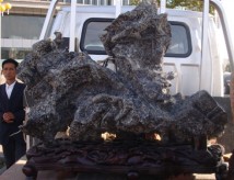 �������� ����Х��