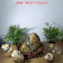 ����èһ�ҡ�