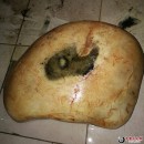 �½�28kg��ԭʯ